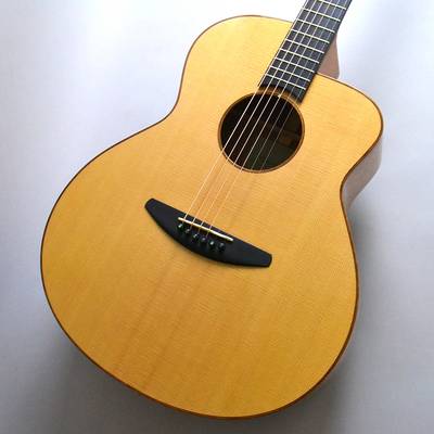 baden ベイデン A-Style Mahogany - アコースティックギター