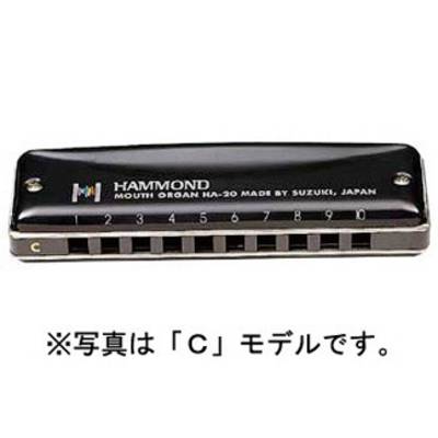 HAMMOND  HAMMOND HA-20 F スズキ 10穴ハーモニカ ハモンド 【 イオンモール天童店 】