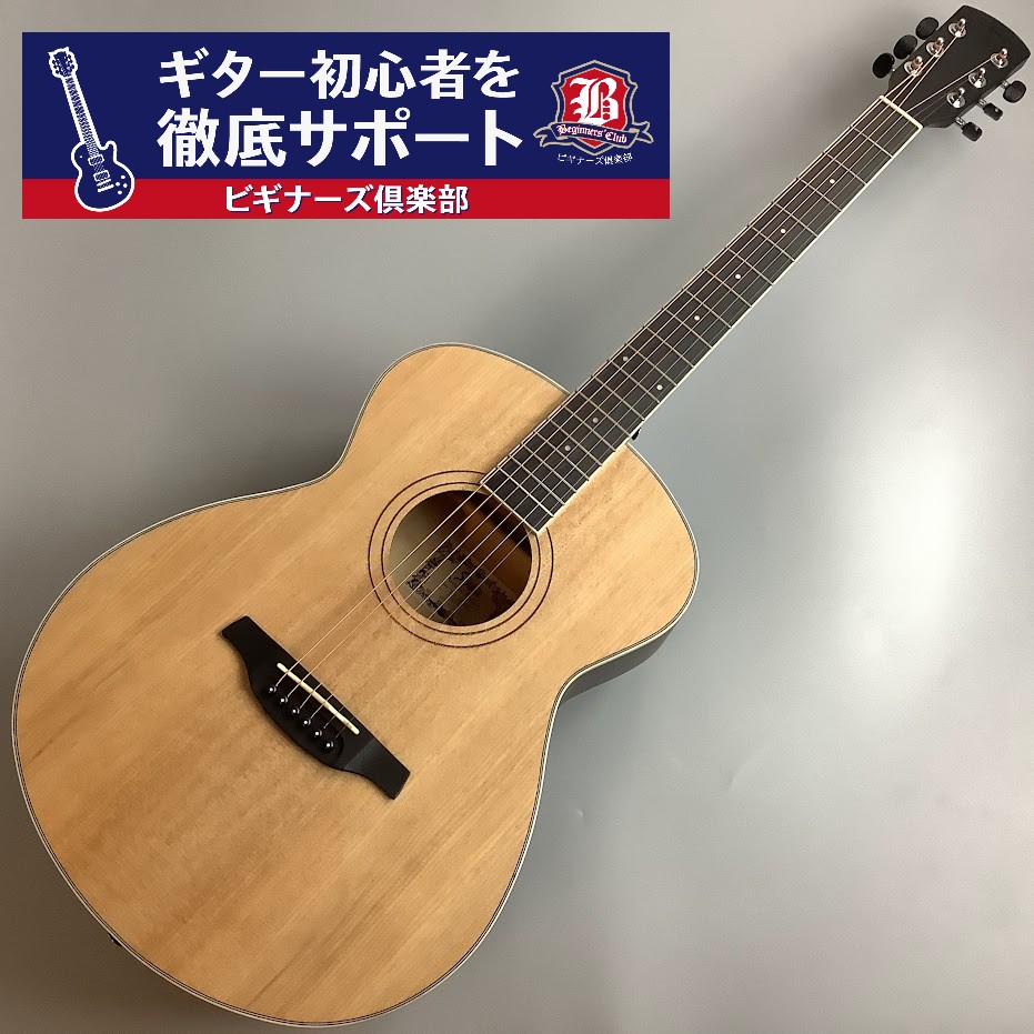 Soldin 【店頭初心者セミナー付き】SFG-15 アコースティックギター