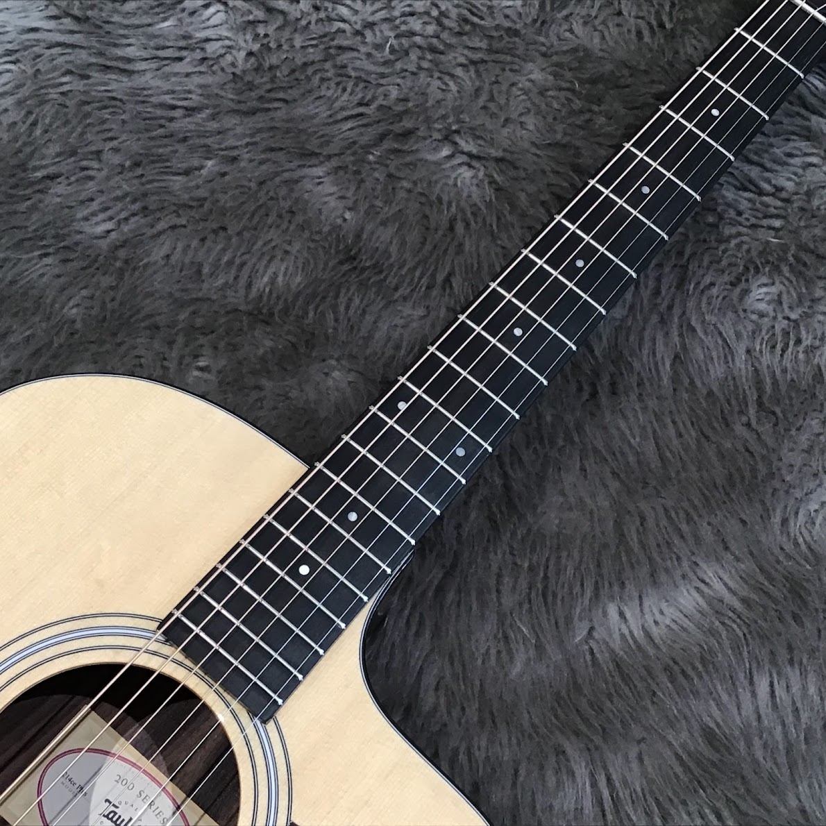 Taylor 214ce Rosewood PLUS 【エレアコ】 テイラー 【 ららぽーと