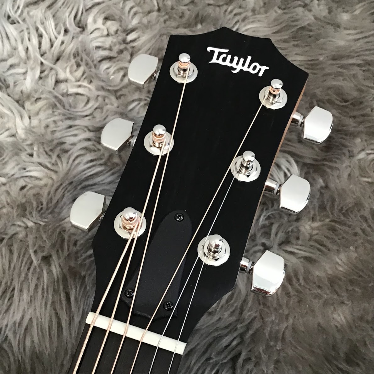 Taylor 214ce Rosewood PLUS 【エレアコ】 テイラー 【 ららぽーと