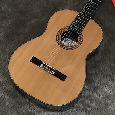 KODAIRA AST-100/C クラシックギター 650ｍｍ 杉単板コダイラ 小平