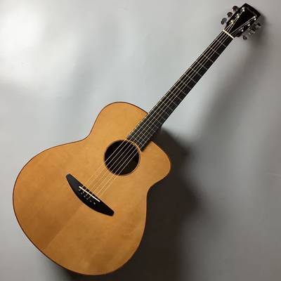 baden guitars  A-CZ ベーデンギターズ 【 宇都宮インターパークビレッジ店 】