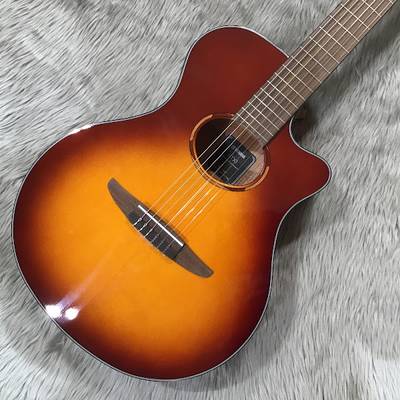 YAMAHA NTX1 BROWN SUNBURST ヤマハ 【 ららぽーと湘南平塚店