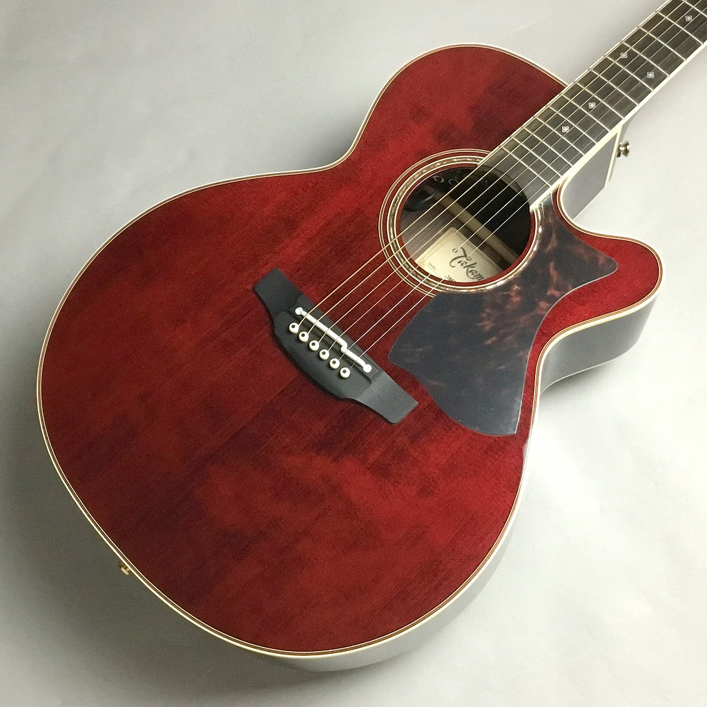 Takamine DMP50S WR エレアコギター／当社限定モデル タカミネ