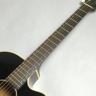 History NT02 アコースティックギター - アコースティックギター