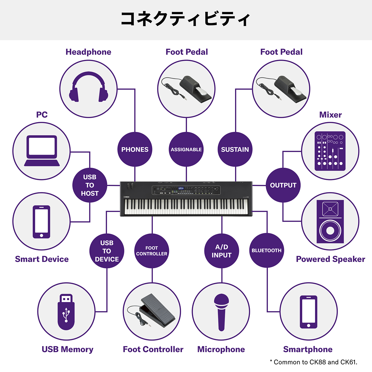 YAMAHA CK61 61鍵盤 ステージキーボード ヤマハ 【 イオンモール長久手店 】 | 島村楽器オンラインストア