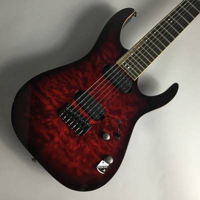 SCHECTER BANSHEE-7 PASSIVE AD-BS-7/P【シェクター】 シェクター ...