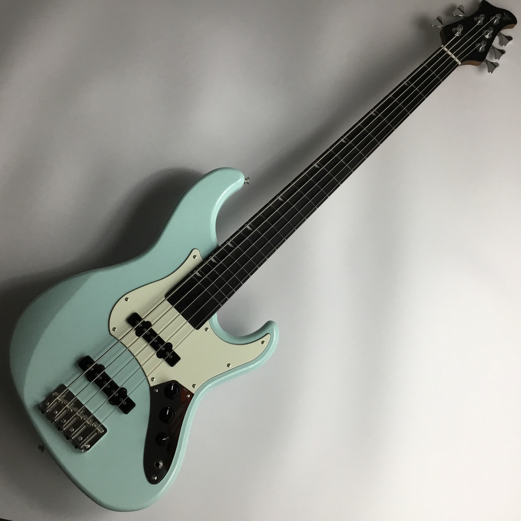 RYOGA Val-Bass5/LE SBL 5弦ベース パッシブ 北米産アルダーボディ