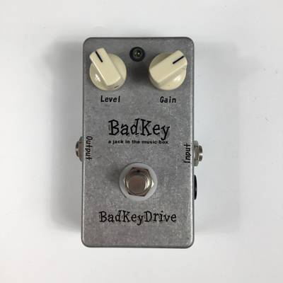 BadKey  BadkeyDrive バッドキー 【 ＴＨＥ　ＯＵＴＬＥＴＳ　ＨＩＲＯＳＨＩＭＡ店 】