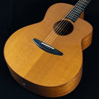 baden guitars  A-CZ ベーデンギターズ 【 あべのａｎｄ店 】