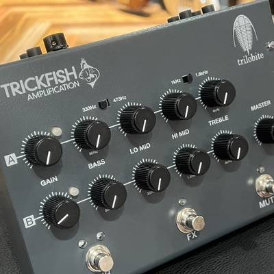 Trickfish  Trilobite Dual Channel Bass Preamp トリックフィッシュ 【 立川店 】