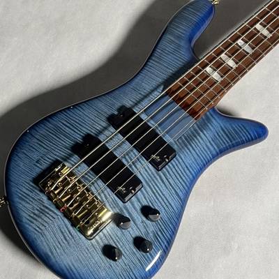 Spector  EURO BOLT5 Figured Maple Top【現物画像】Exclusive Limited スペクター 【 立川店 】