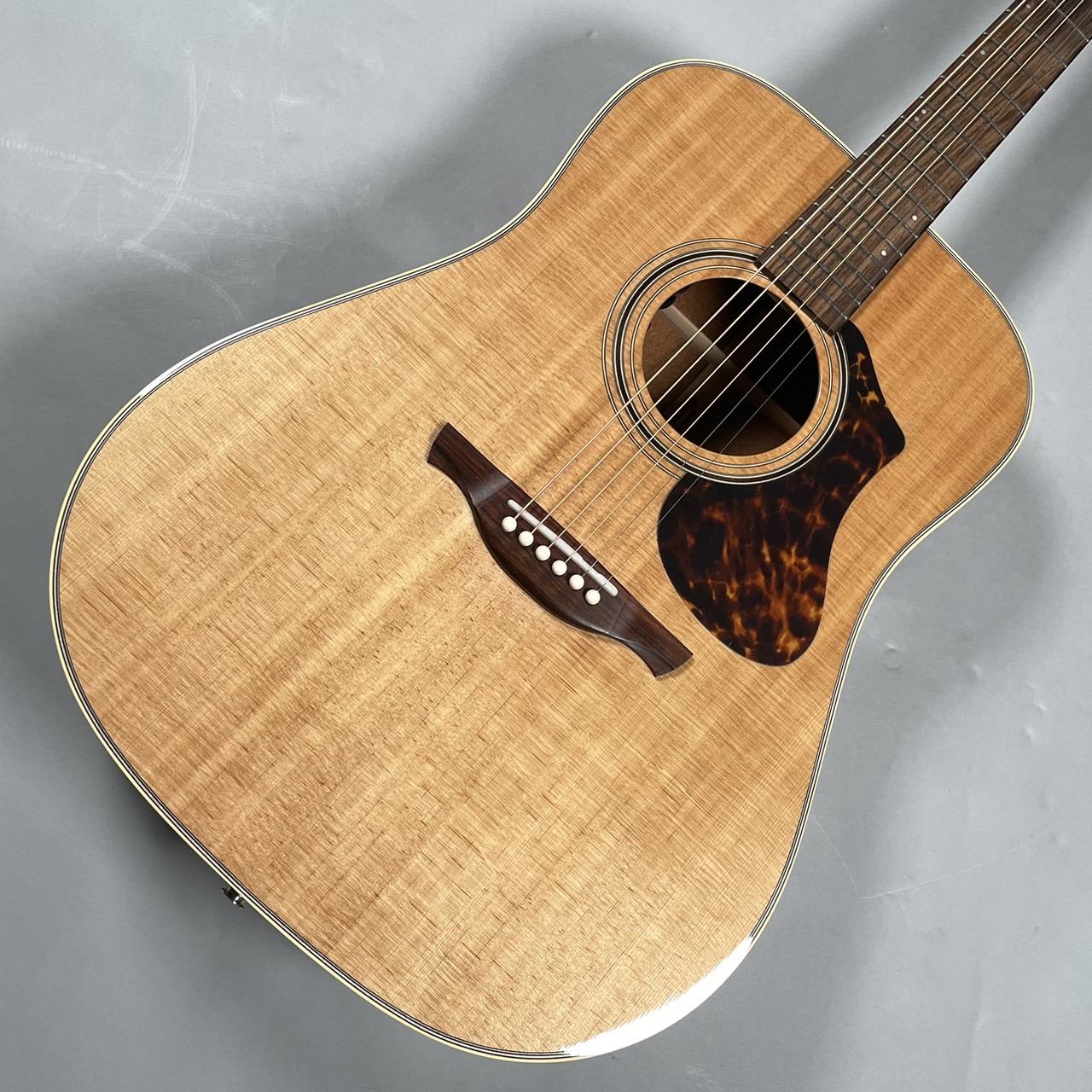 大幅値引き❗❗あいみょんモデル❗HISTORY HT-301ca エレアコ - ギター