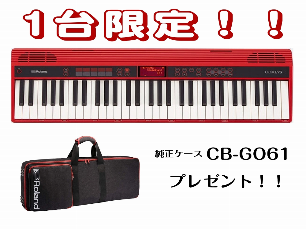 Roland ローランド/CB-GO61KP Keyboard Bag for GO-61K and GO-61P