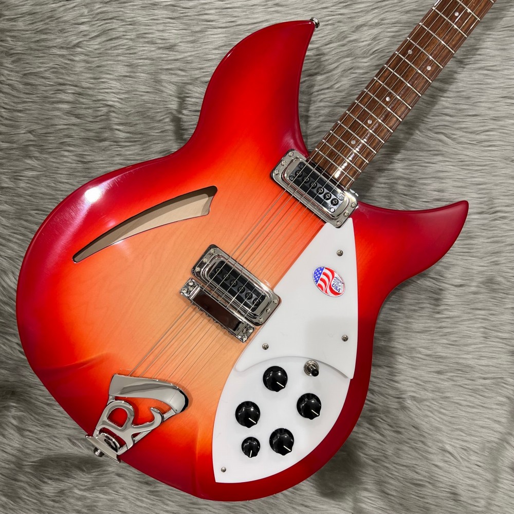 Rickenbacker 330 ギター用モールドハードケース