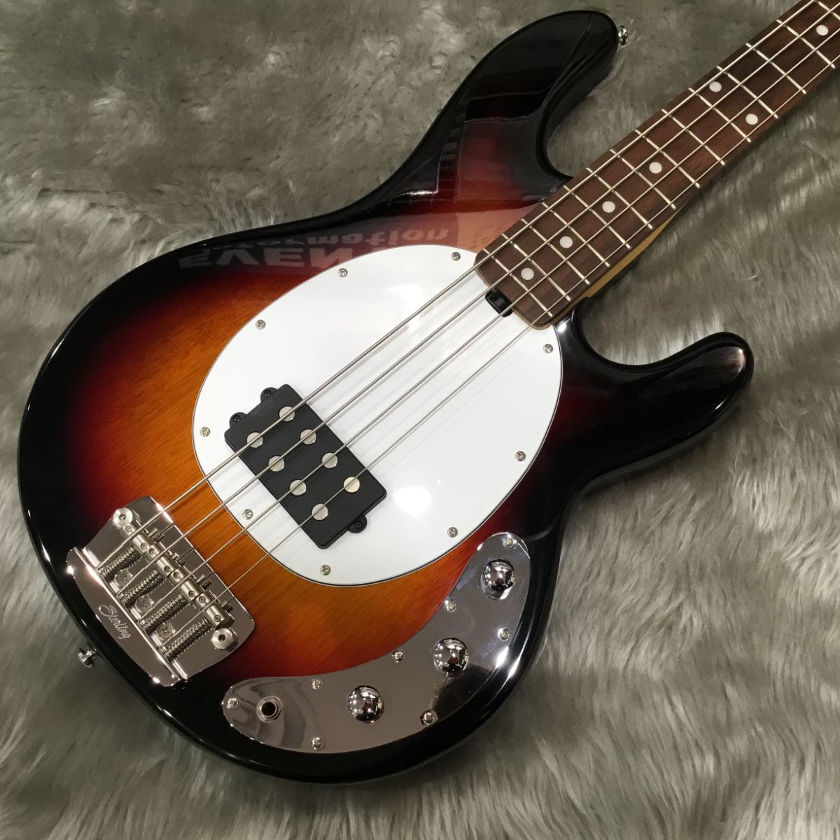 STERLING by Musicman RAY24CA 3TS エレキベース スターリン 【 セブン