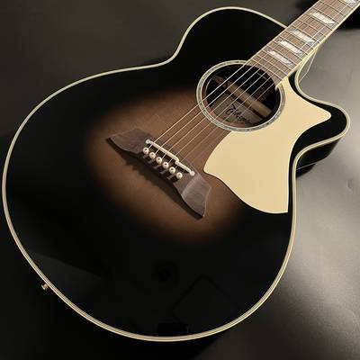 Takamine  TSP10CS エレアコ アコースティックギター 630mmスケール タカミネ 【 ららぽーと福岡店 】