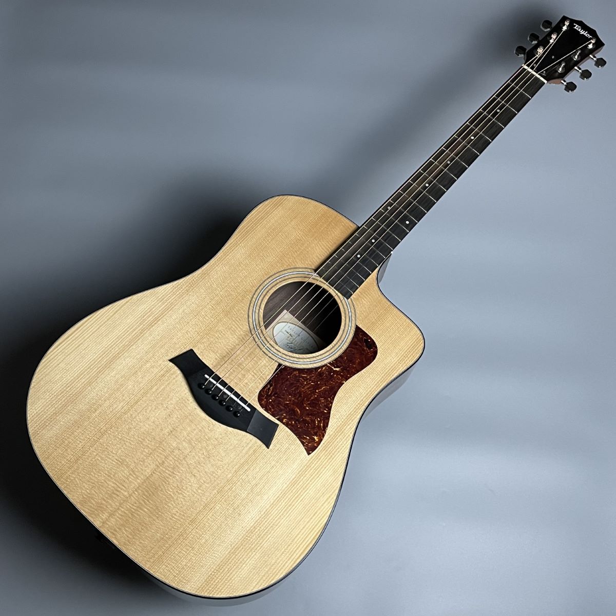 Taylor 210ce Rosewood Plus エレアコギター テイラー 【 イオンモール 