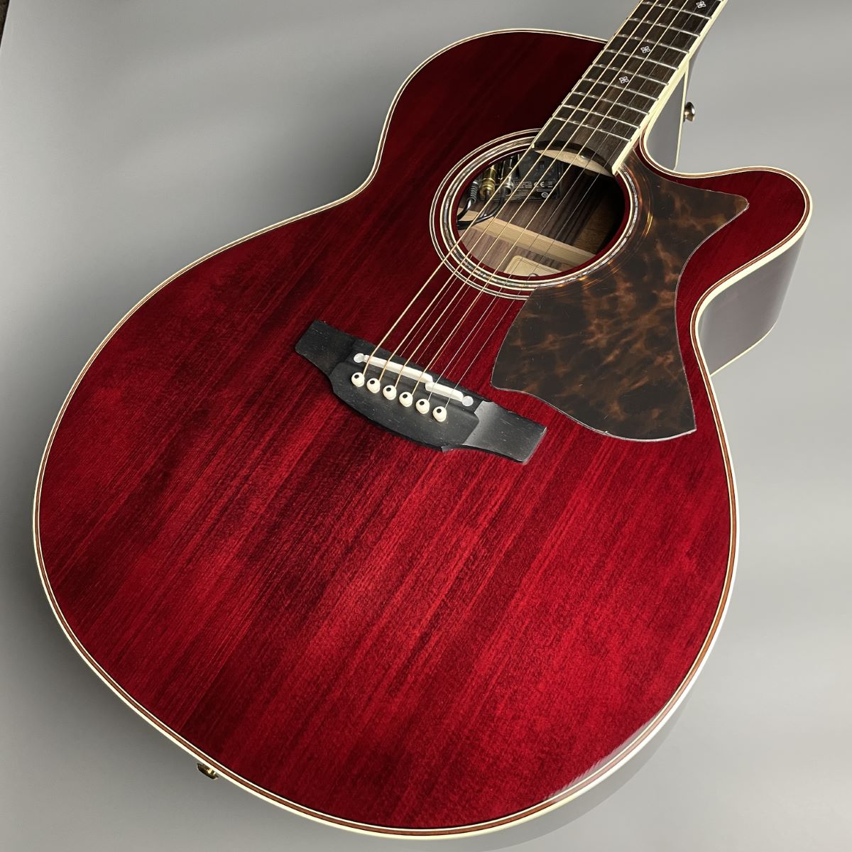 国内正規品 島村楽器×takamine エレアコギター - crumiller.com