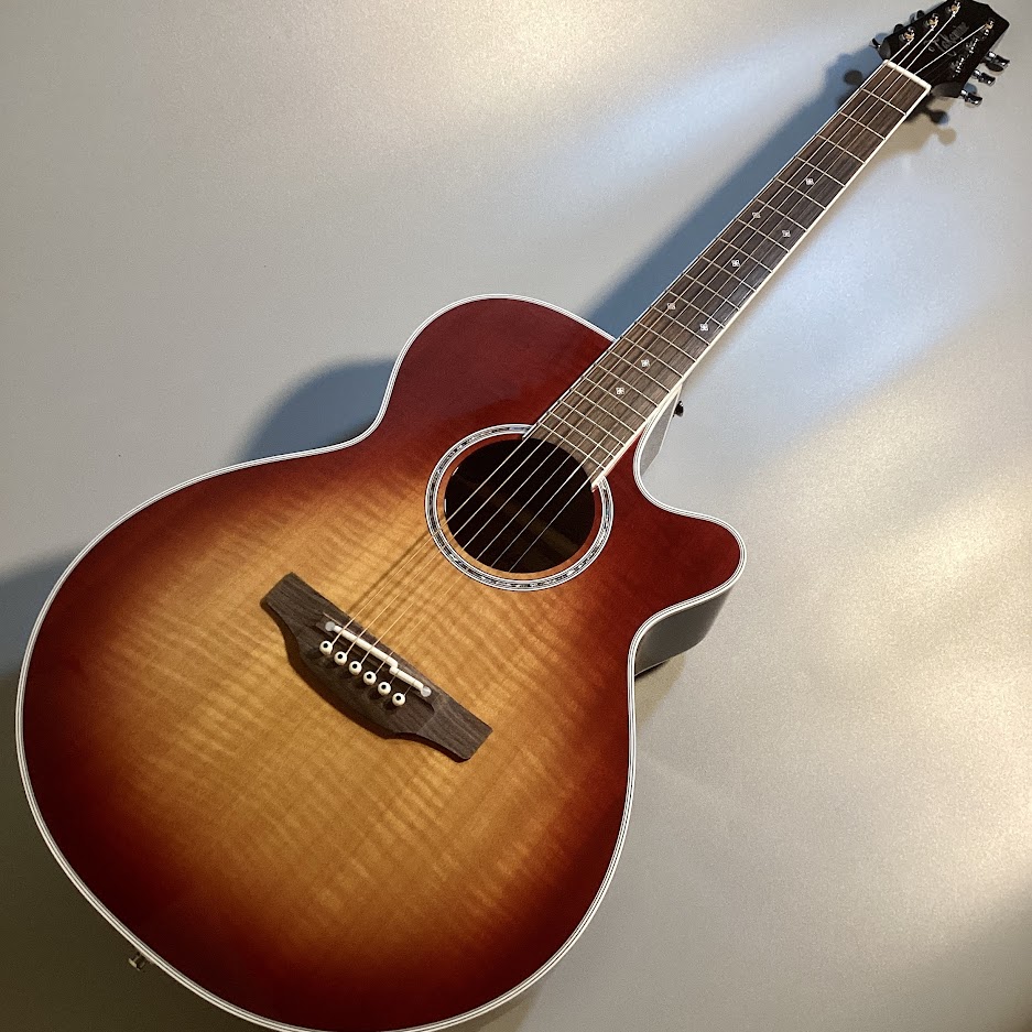 購入特価takemine タカミネ アコースティックギター T-1BS アコギ ギター