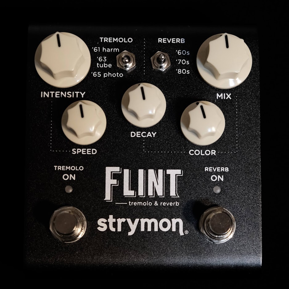 strymon flint - ギター