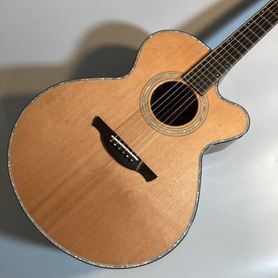 HISTORY NT-301 エレアコ あいみょん使用ギター 生産終了モデル - 楽器