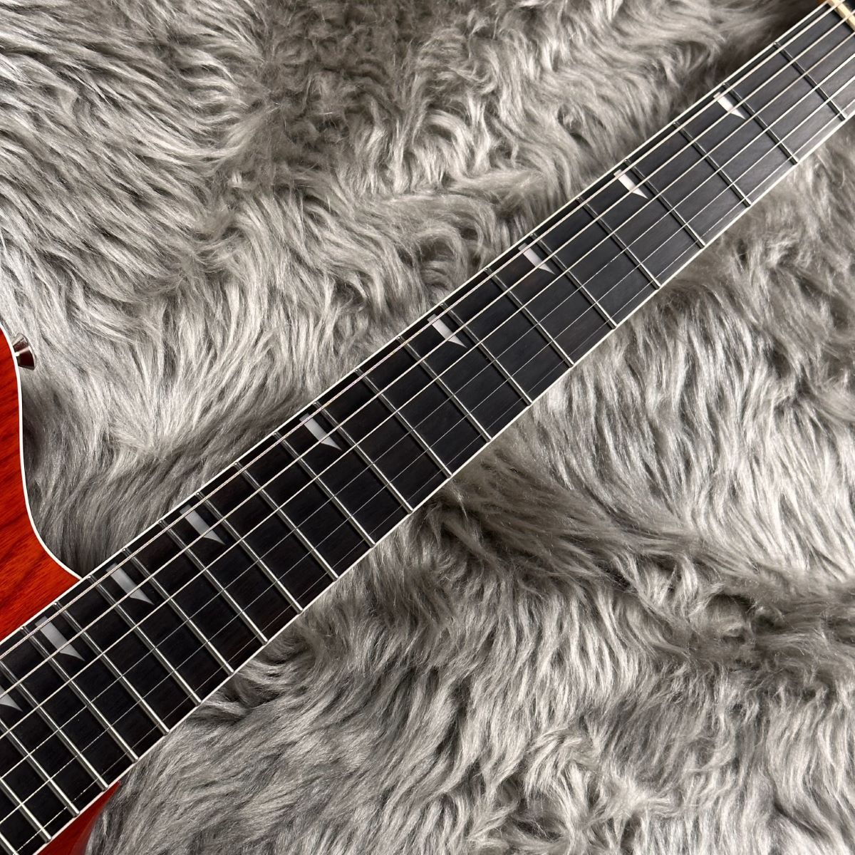 Ryoga SKATER/LEC-v2 Scarlet Red エレキギター コイルタップ搭載 24フレット リョウガ 【 ららぽーと堺店 】 |  島村楽器オンラインストア