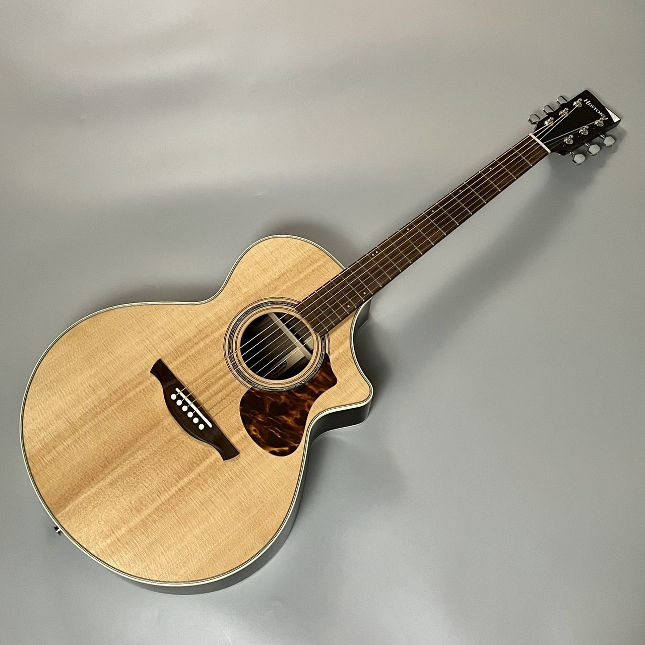 HISTORY NT-102 アコースティックギター オール単板 日本製 - 楽器/器材