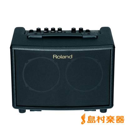 Roland AC-33 アコースティックギター用 ステレオアンプAC33