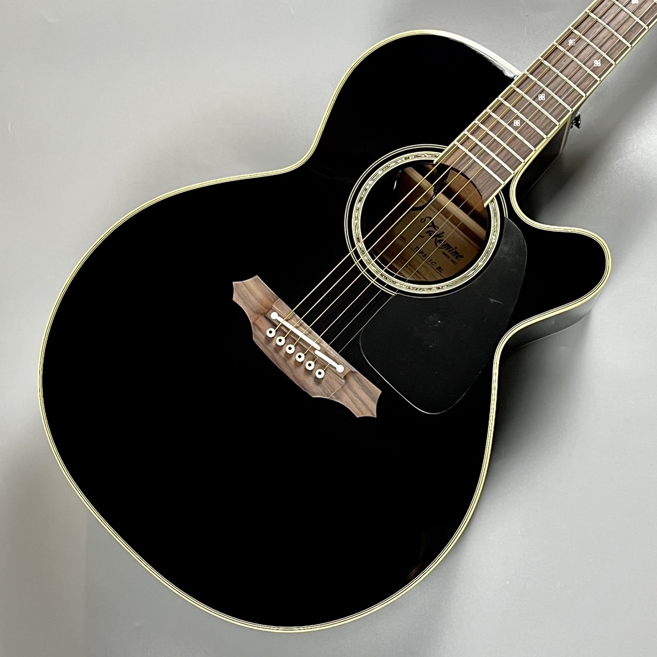 タカミネ Takamine アコースティックギター T-1N ギター 6弦 アコギ 