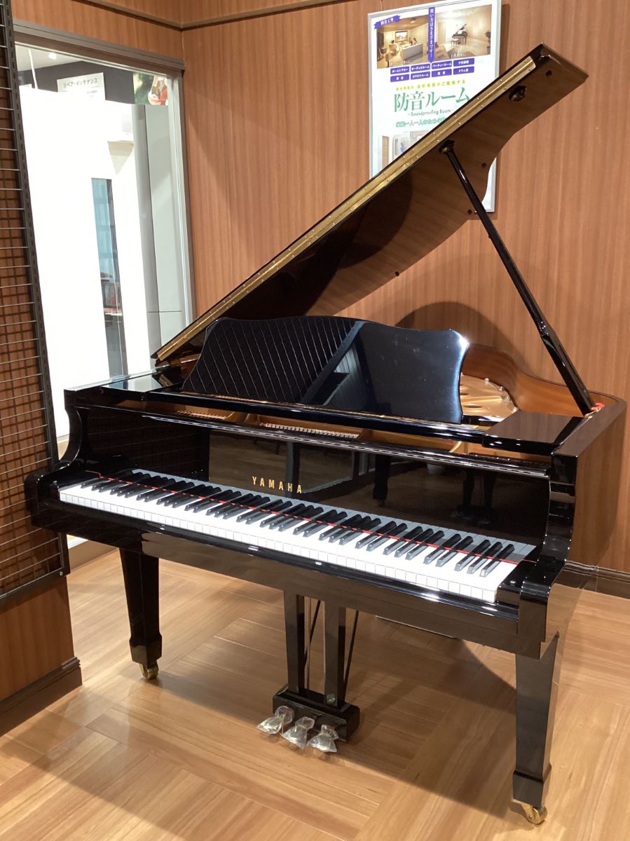 YAMAHA C1L ヤマハ 【 イオンモール豊川店 】 | 島村楽器オンラインストア