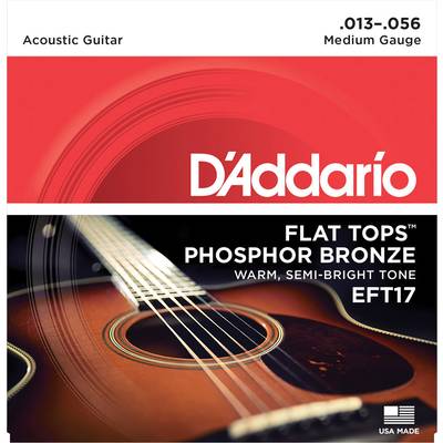 D'Addario EFT15 フラットトップフォスファーブロンズ 10-47