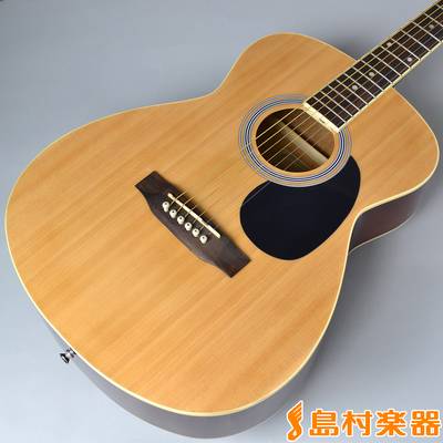 Vanguard VFG-01 NA(ナチュラル) アコースティックギター 【バンガード VFG01】