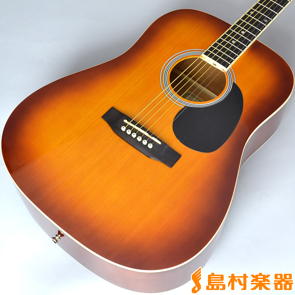 Vanguard VDG-01 TS アコースティックギター - アコースティックギター