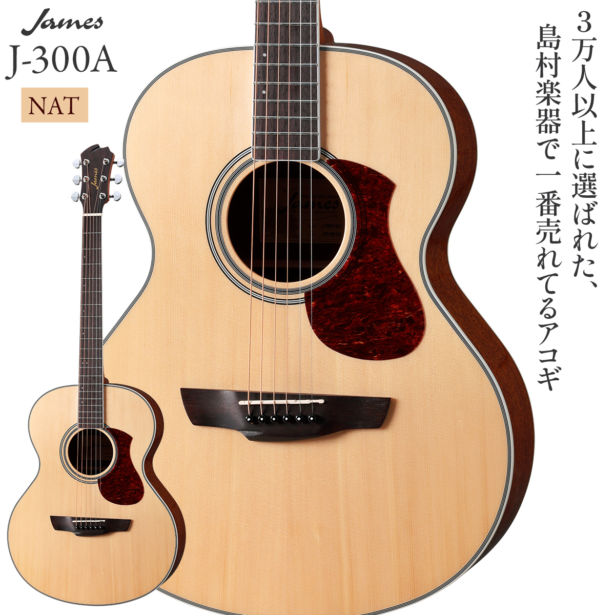 James J-300A NAT(ナチュラル) アコースティックギター 【ジェームス 