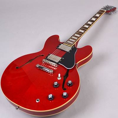 Burny SRSA65 Cherry エレキギター初心者14点セット 【ミニアンプ付き】 セミアコ ES-335タイプ ホロウボディ バーニー  SRSA-65【ハードケース付属】
