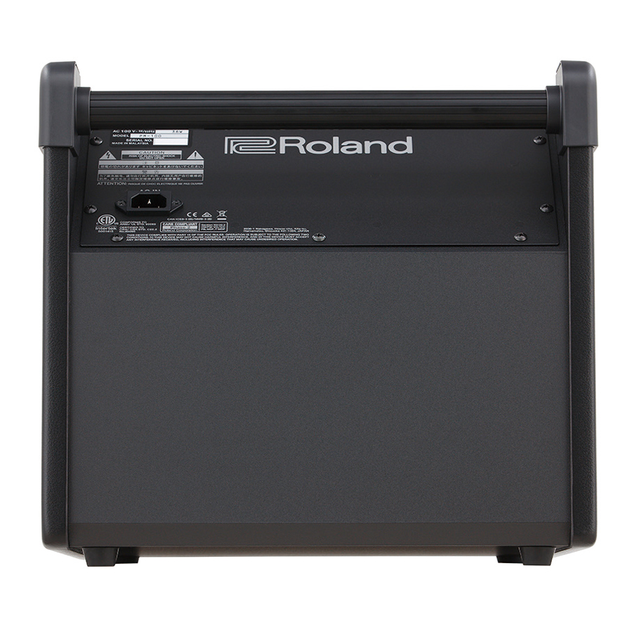 Roland Personal Monitor PM-100 パワードモニターアンプ [ V-Drums 