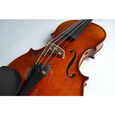GEWA Meister II バイオリン セット 4/4サイズ ケースカラー 