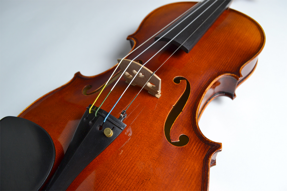 GEWA Meister II バイオリン セット 4/4サイズ ケースカラー：ブルー 