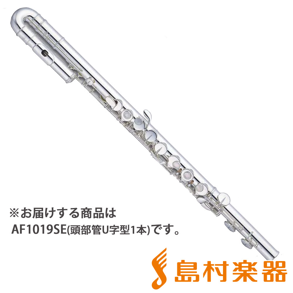 Altus AF1019SE フルート アルト 管体銀製 U字型 【アルタス】