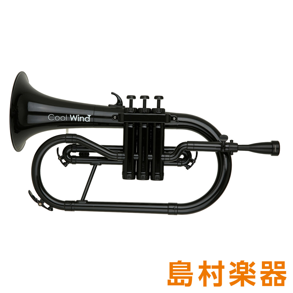 Cool Wind FH-200 BLK フリューゲルホルン プラスチック管楽器 【クールウィンド FH200 プラ管】