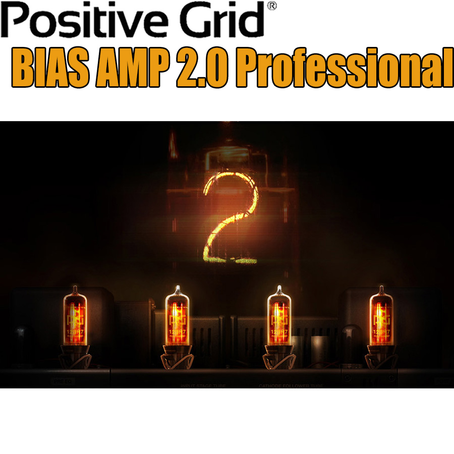 [特価 2022/01/30迄] Positive Grid BIAS AMP 2.0 Professional 【ポジティブグリッド】[メール納品 代引き不可]