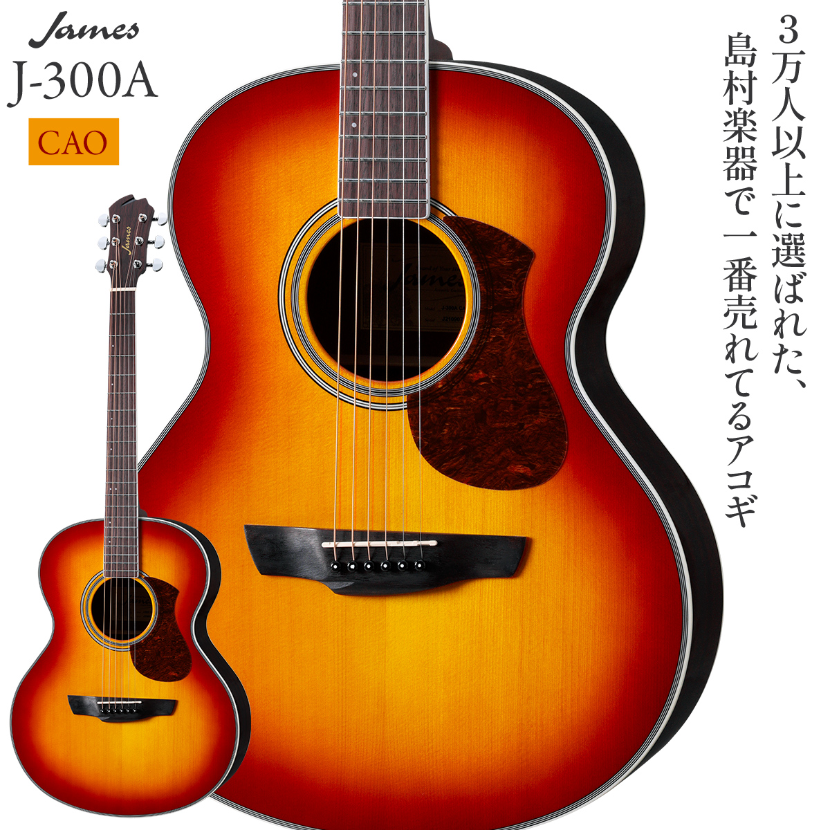 アコースティックギター J-300A CAO ソフトケースカポピックチューナー 