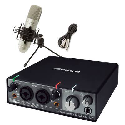 Roland rubix22 + TM-80 高音質配信・録音セット TASCAMコンデンサーマイク一式付属 動画配信 ローランド 