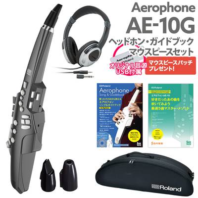 Roland AE-30 Aerophone Pro ケース 交換用マウスピースセット ウインドシンセサイザー 【ローランド】