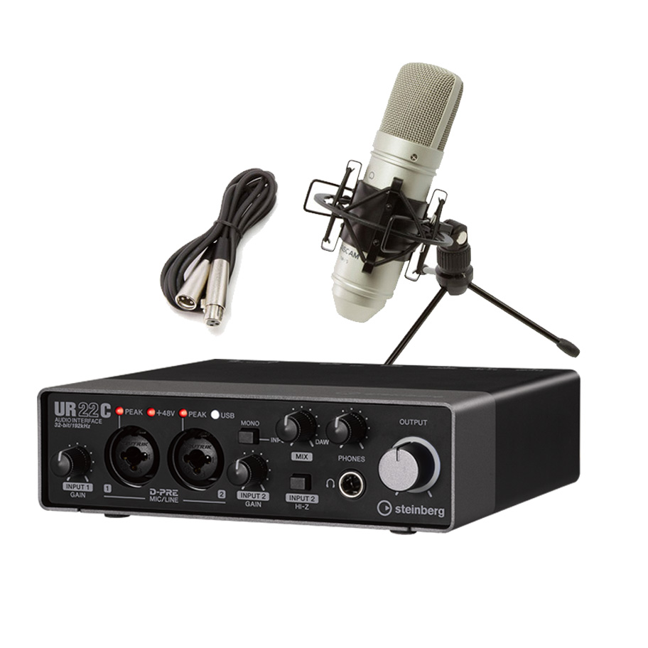 steinberg UR22C + TM-80 高音質配信 録音セット TASCAMコンデンサー