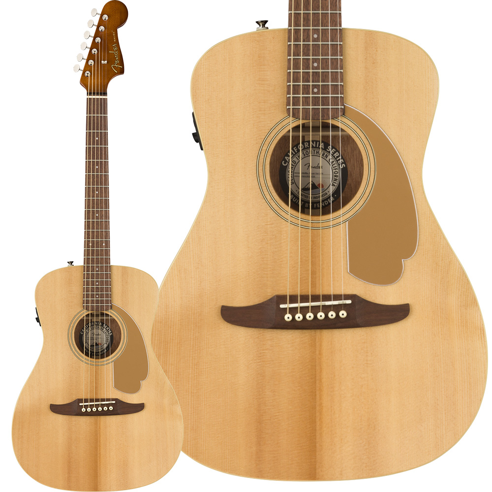 最高級 ギター 保証付 専用ケース付 Player Malibu Fender 新品 ギター