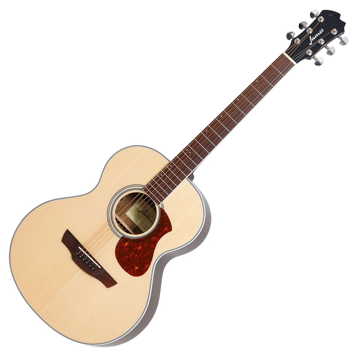 新年の贈り物 ギター ジェームス J450A/Ova NAT 2020.9購入 