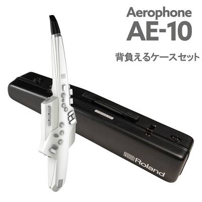 Roland Aerophone AE-10 エアロフォン専用 CCシャイニーケース (パウダーブラック) 付属セット ウインドシンセサイザー 【ローランド】